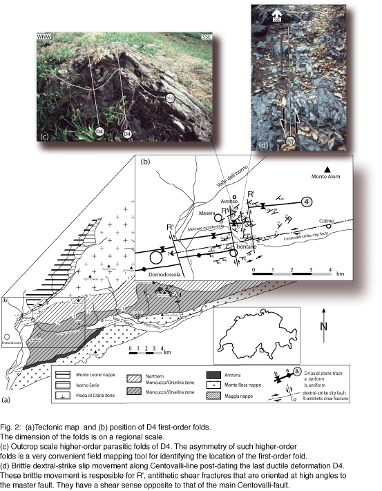 Tectonic map and outcrops from the studied area